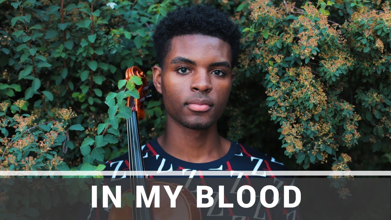 Shawn Mendes | In My Blood | Jeremy Green | Viola Cover