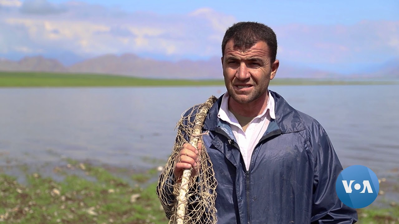 Iraqi Fishermen Still Use Method Passed Down Over the Centuries