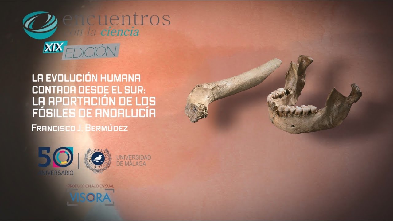 La Evolución Humana contada desde el sur la aportación de los fósiles de Andalucía