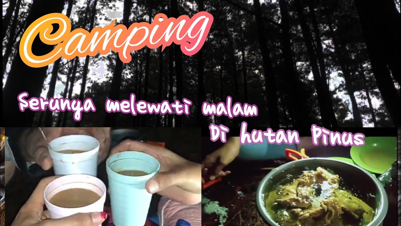 Camping di hutan Pinus Lembanna MALINO || part 1 || jelajah alam hutan Pinus Sulawesi