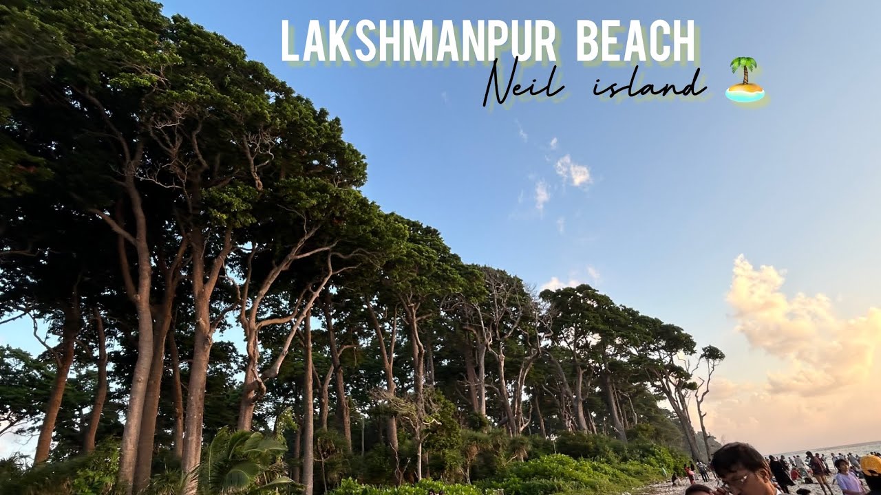 Day 4: Neil island🏝️sunset point,Lakshmanpur beach1  #travel #andaman #miniblog #beach #neilisland 