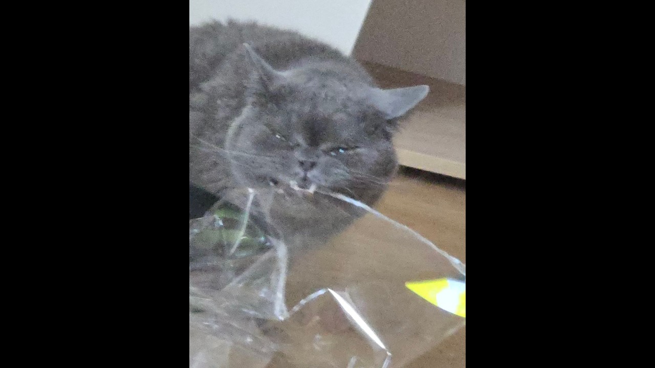 Лекция№15/Колебания/Кошелкин А.В.