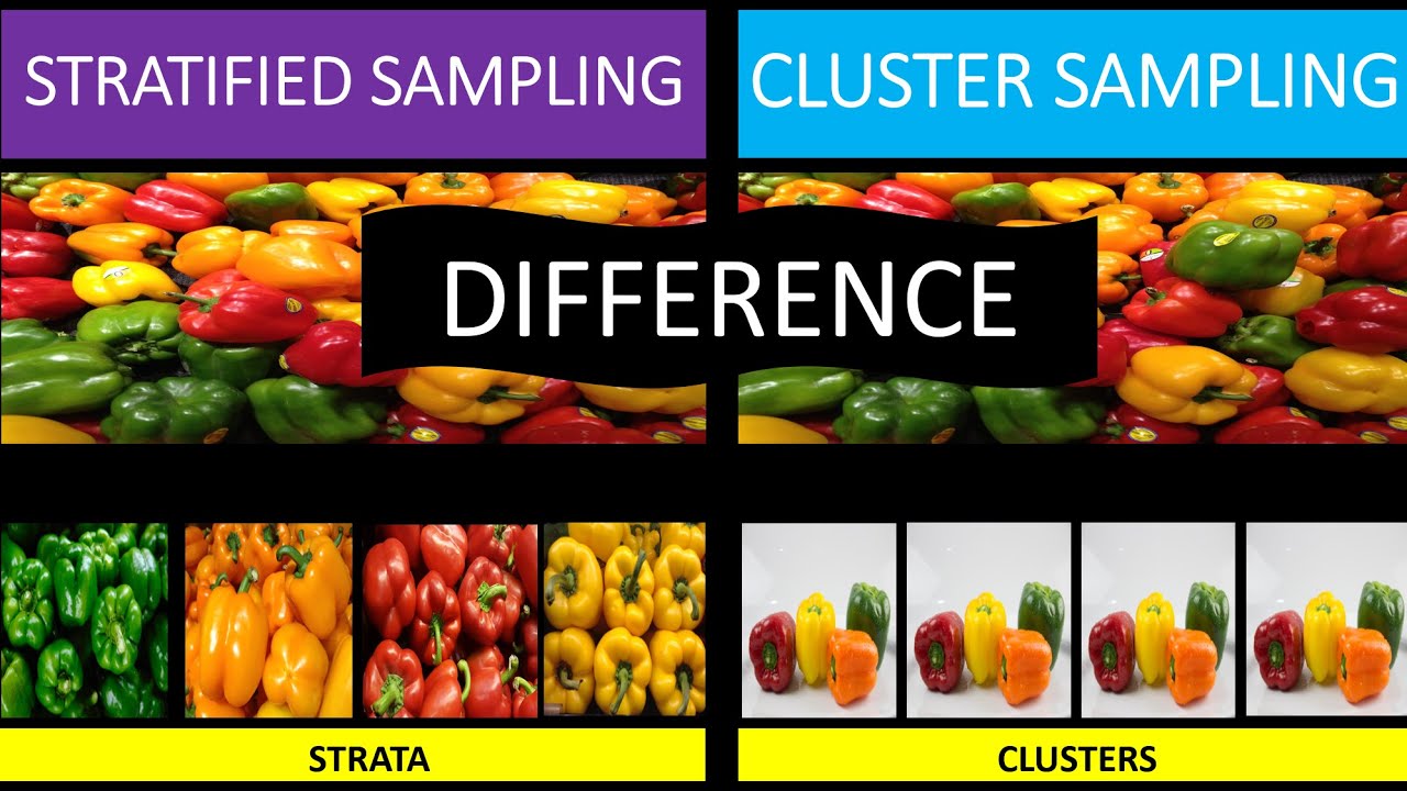 Stratified vs. Cluster Sampling | Difference between Stratified and Cluster Sampling | NTA-UGC NET