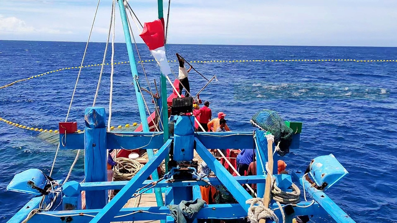 PUKAT CINCIN, Ternyata Begini Cara Nelayan Indonesia Menangkap Ikan Di Laut