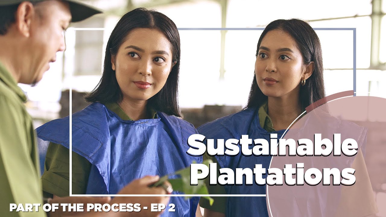 PART OF THE PROCESS | EP 2 | Sustainable Plantations | Maria and Elizabeth Rahajeng
