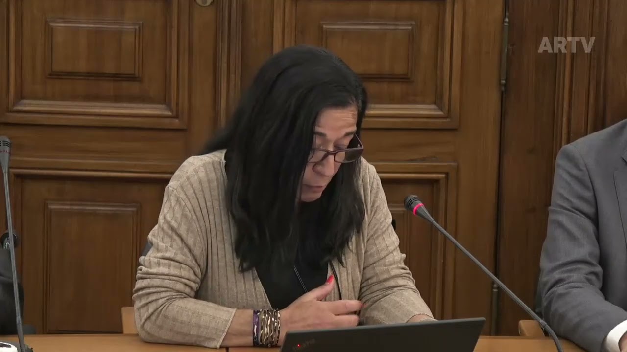 Audição dos peticionários - Por melhores condições de trabalho dos professores | Rosa Isabel Cruz
