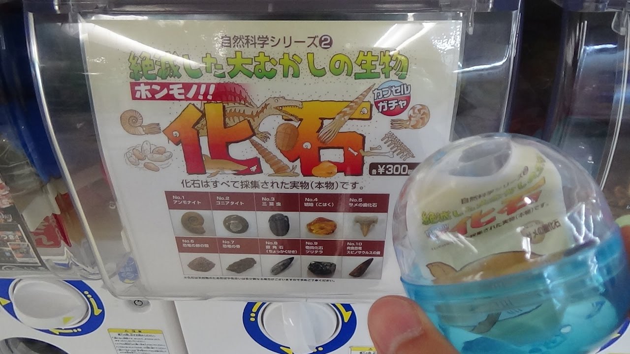 Real Fossil Gashapon
