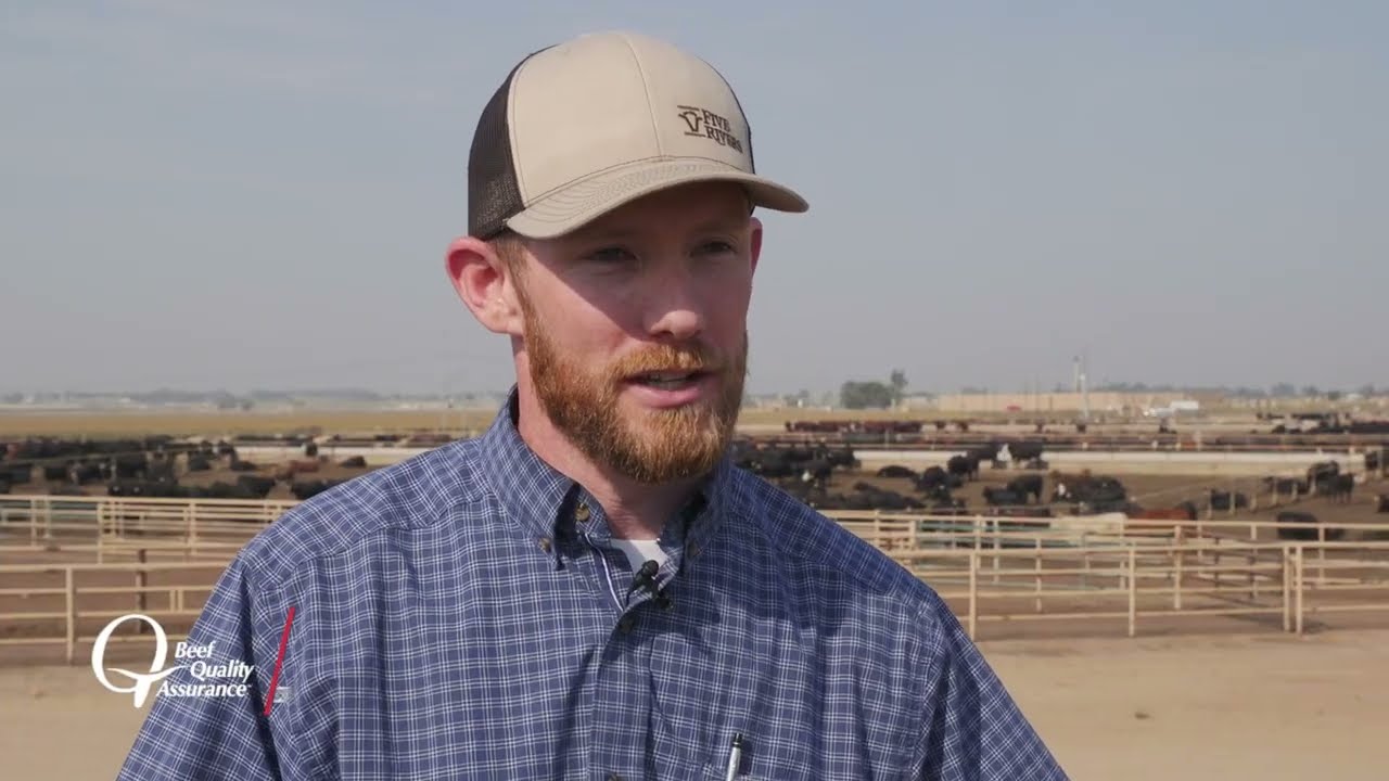2022 BQA Feedyard Award - Kuner Feedlot - Five Rivers