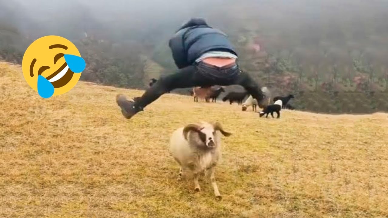TikTok Try Not To Laugh Challenge!