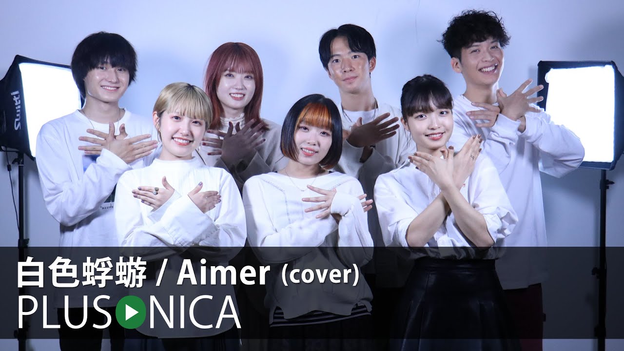 白色蜉蝣 / Aimer (cover)