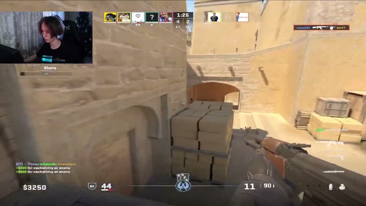 10lvl faceit mentality