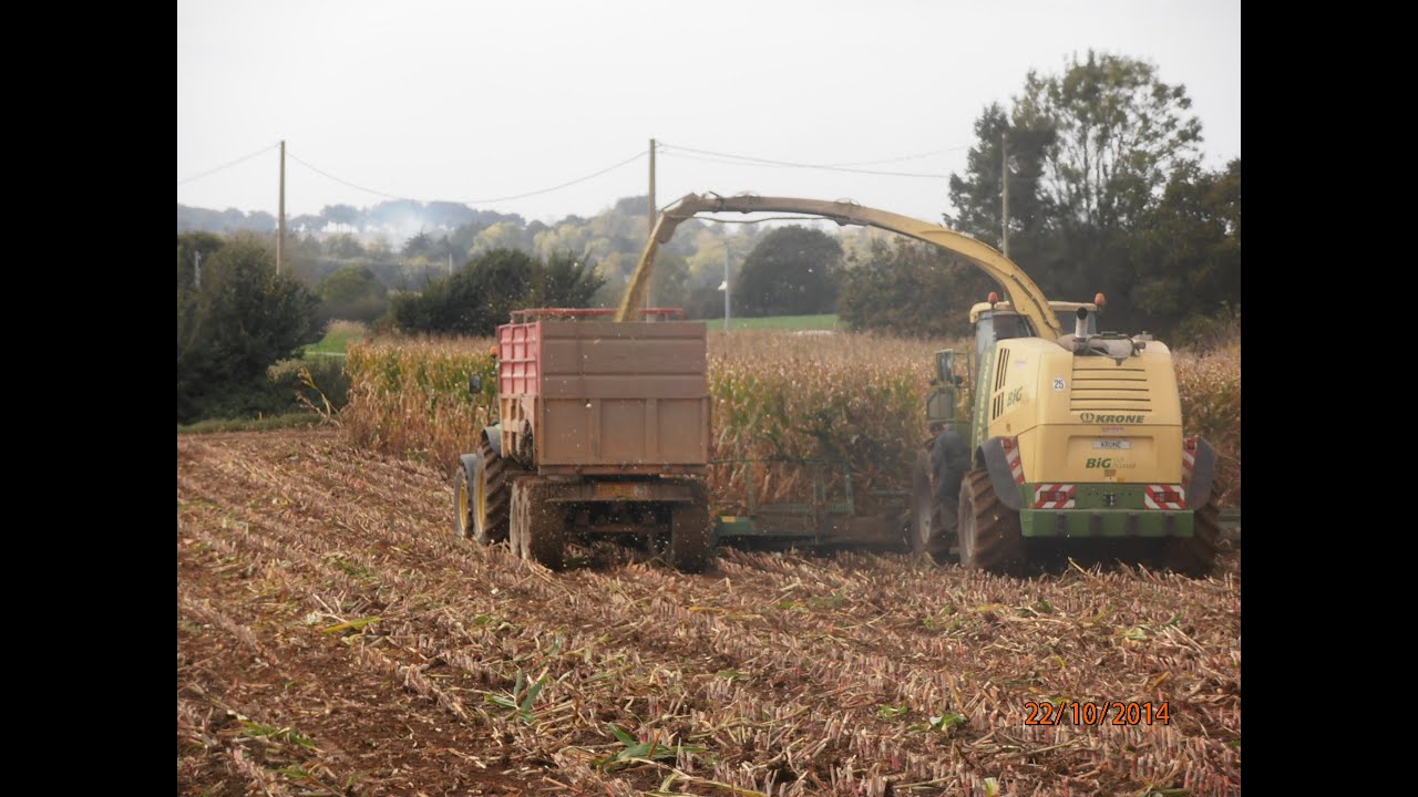 Ensilage mais 2014 avec Krone Big X1100 dans les côtes d' armor avec l'E.T.A Briand