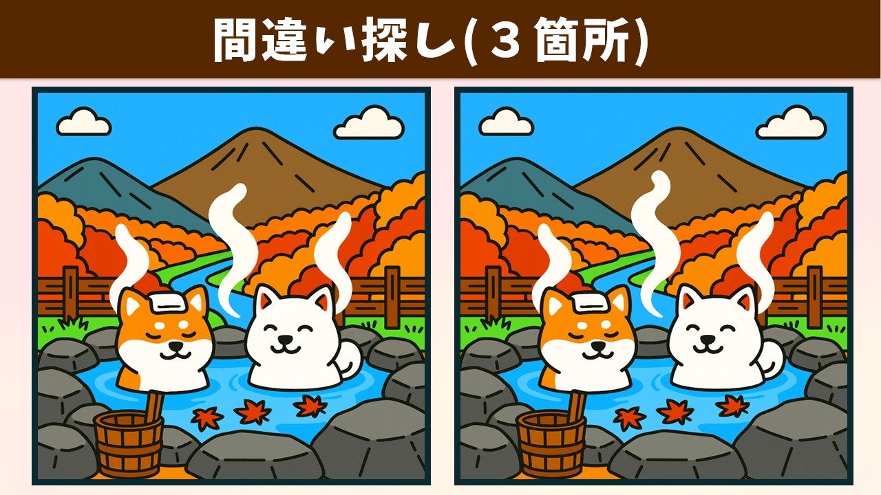 Найдите 3 отличия | Иллюстрация Версия #2033
