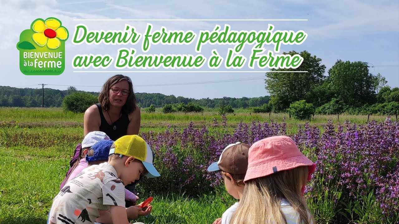 🌼 Devenir ferme pédagogique avec Bienvenue à la Ferme 🌼