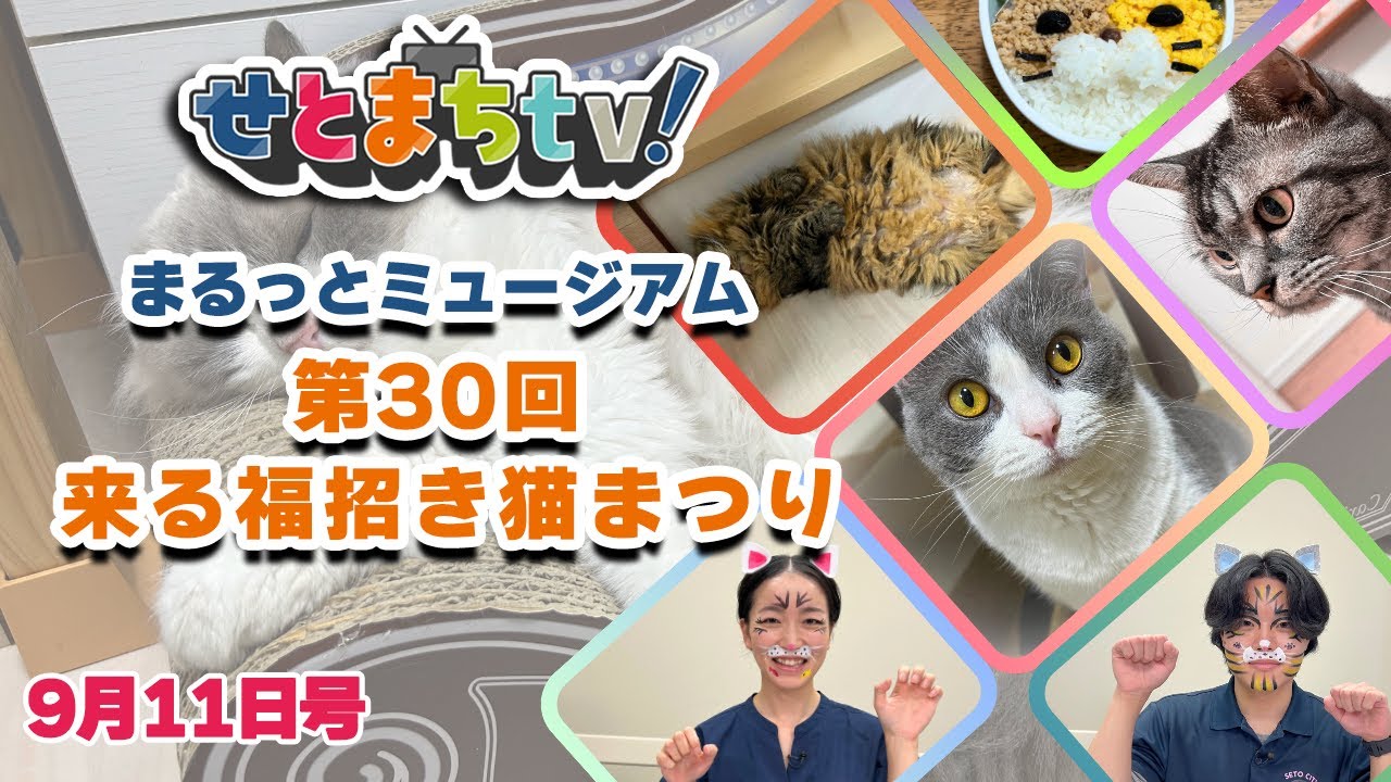 せとまちtv! 令和7年9月11日号「第30回 来る福招き猫まつり」