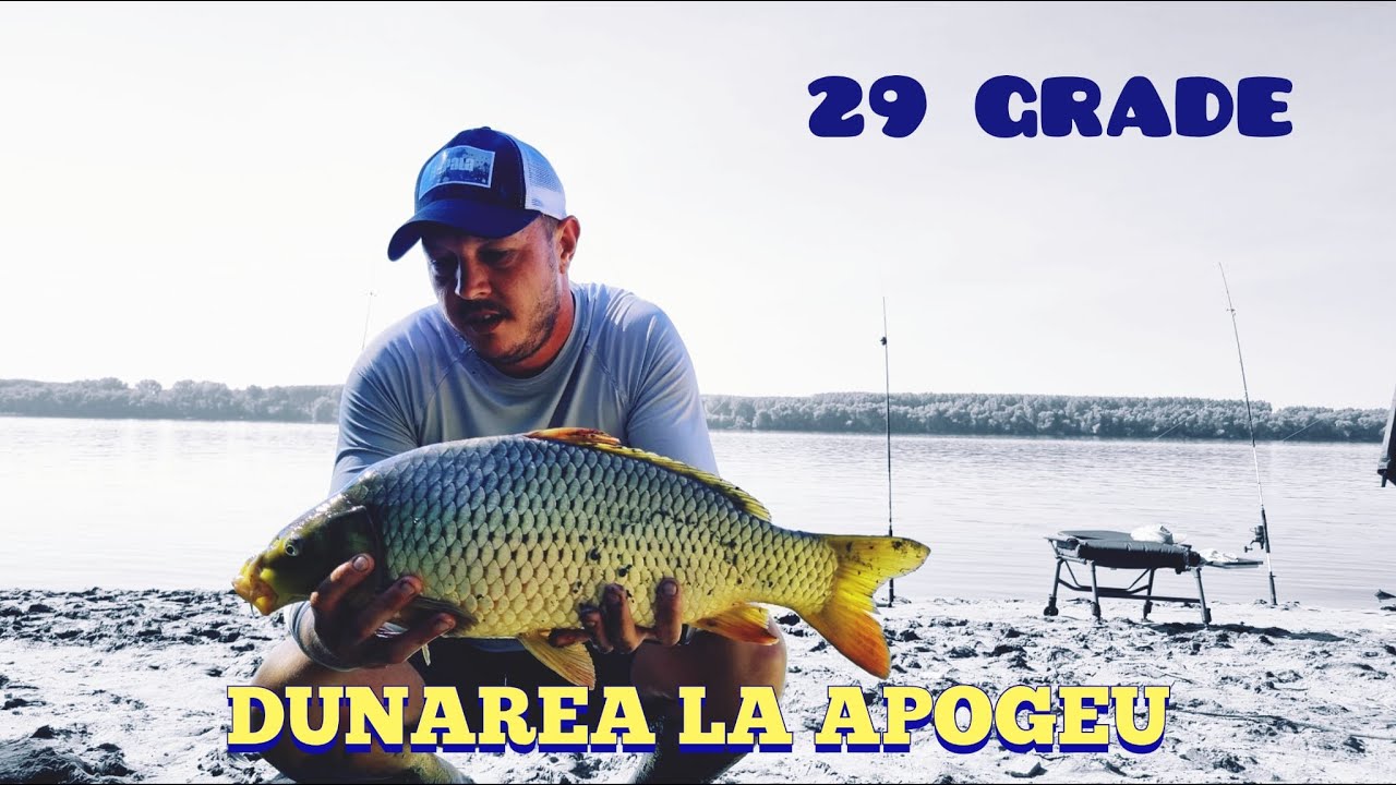 DUNAREA 