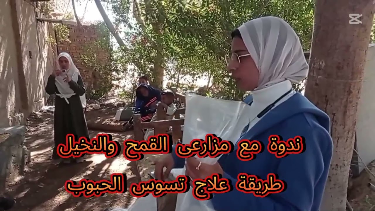 طرق فعالة ومبتكرة لمكافحة ومنع انتشار سوس الحبوب بتخزينها بالاجوالة المعالجة والمحكمة الغلق