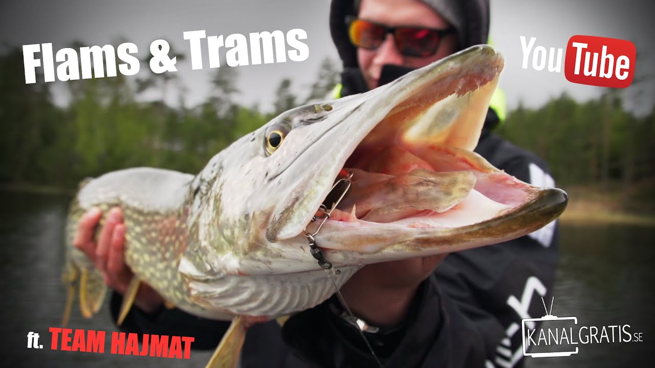 Flams & Trams - Post-Spawn Pike Fishing at &Aring;land ft. Team Hajmat | Kanalgratis.se