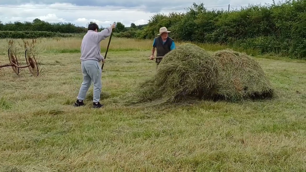 Saving the Hay