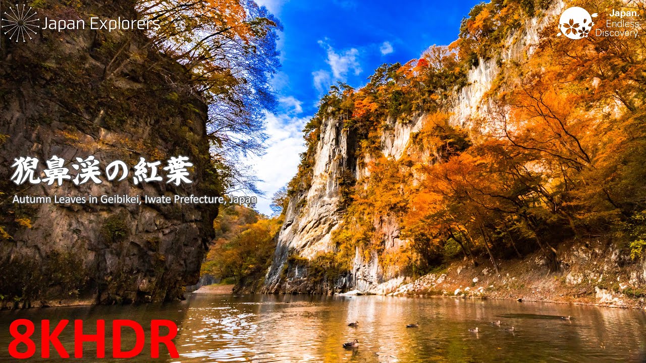猊鼻渓の紅葉 岩手の紅葉名所 Autumn Leaves in Geibikei 8KHDR