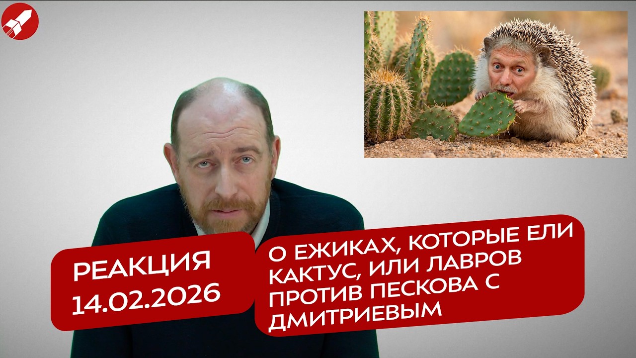 Реакция 14.02.2026 О ежиках, которые ели кактус, или Лавров против Пескова с Дмитриевым