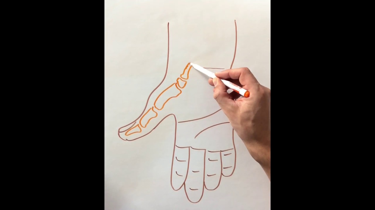 ténosynovite (tendinite) de quervain, douleur pouce