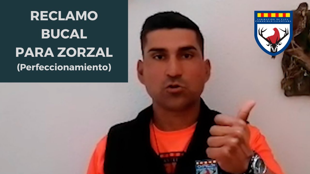 Reclamo Bucal para Zorzal (perfeccionamiento)