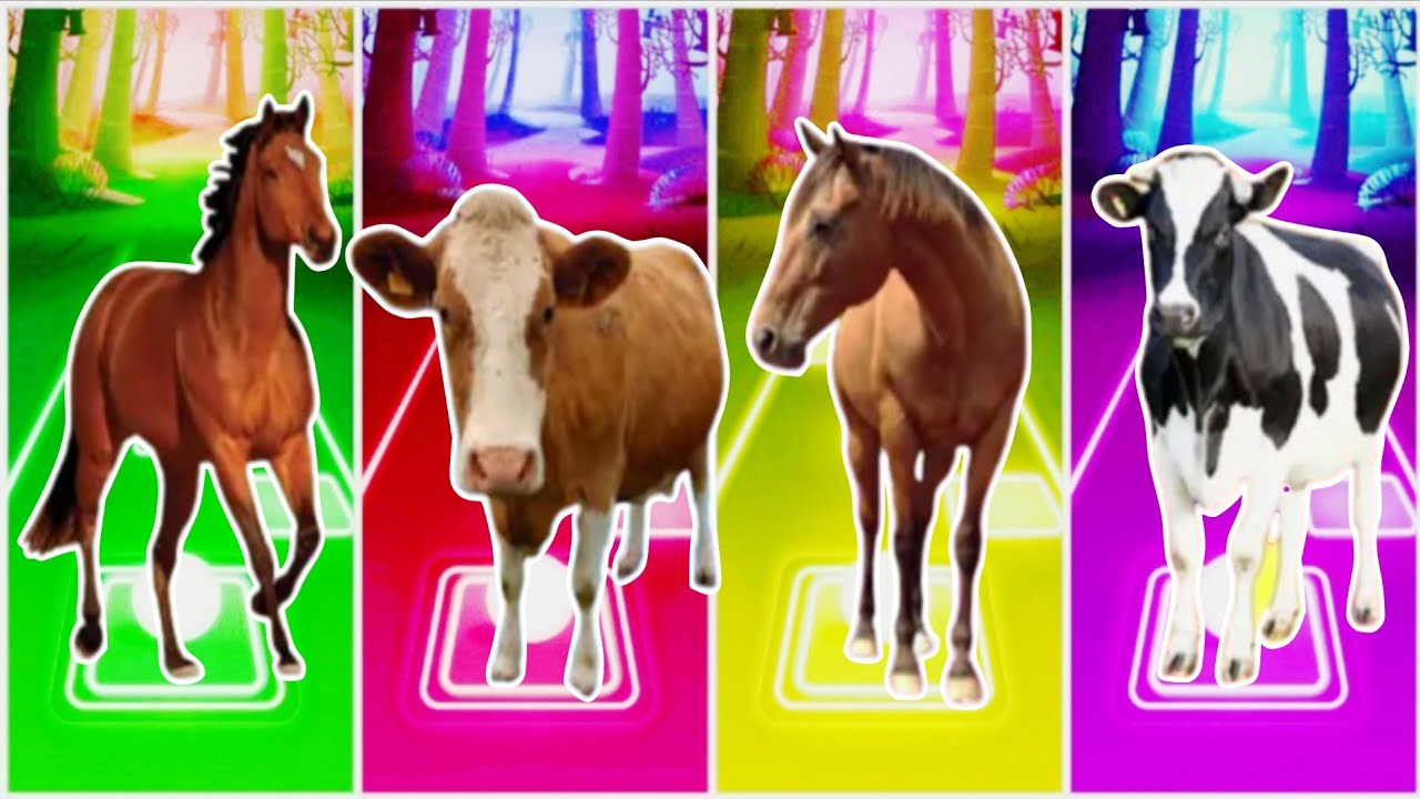 Funny Cow🐄 🆚 Funny Bull 🦬🆚Funny Cow🐄  🆚 Funny Buffalo🐃Tiles Hop EDM Rush🎶