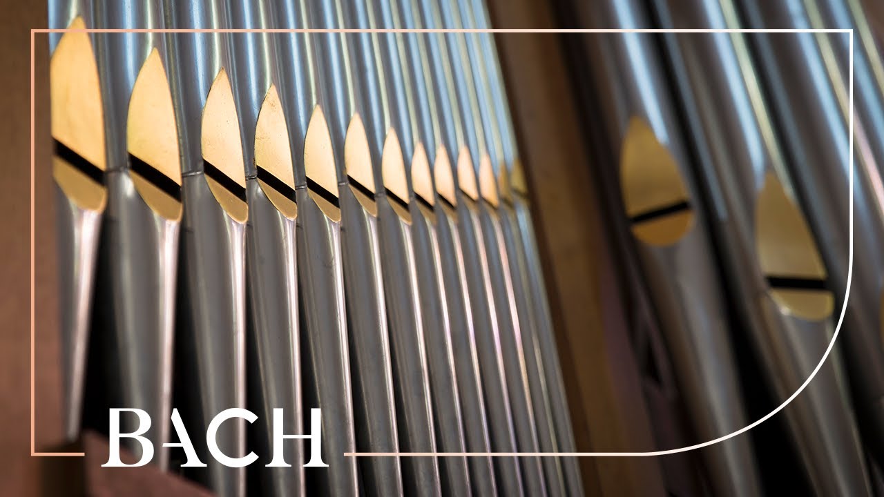 Bach - Jesus Christus, unser Heiland BWV 688 - Smits | Netherlands Bach Society