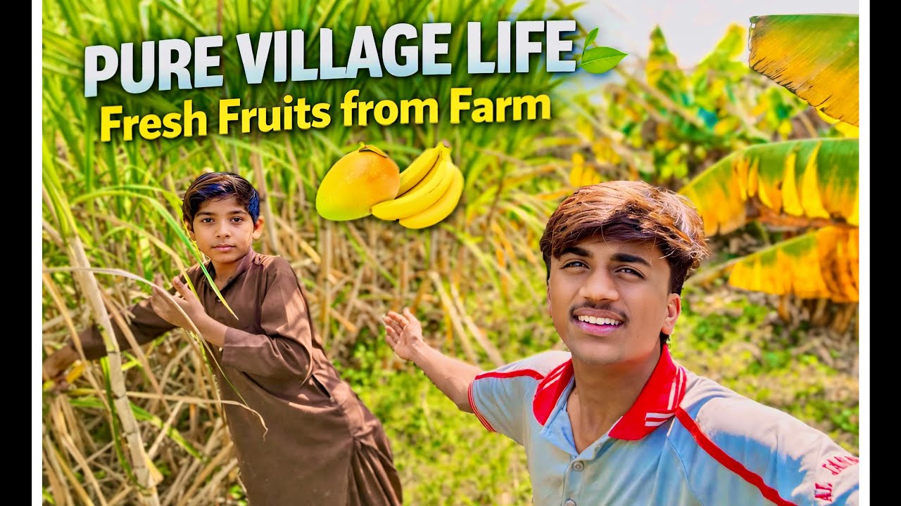 Gaon Ka Pyara Din ❤️ | Mango Farm, Fresh Banana & Kids Fun