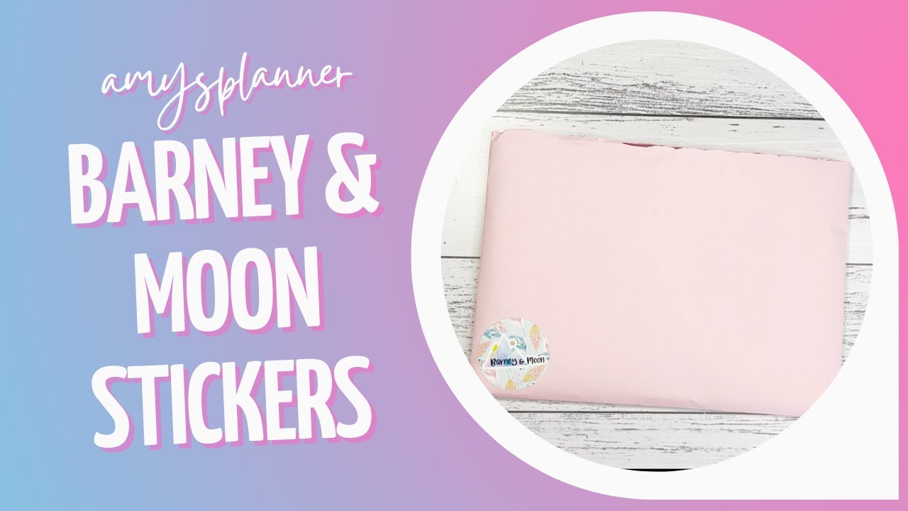Barney & Moon Stickers // New Year Sale