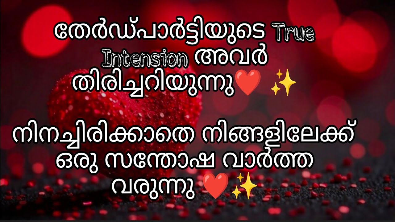 തേർഡ്പാർട്ടിയുടെ True Intension അവർ തിരിച്ചറിയുന്നു ❤️✨ /  Happiness Is Coming To You ❤️✨