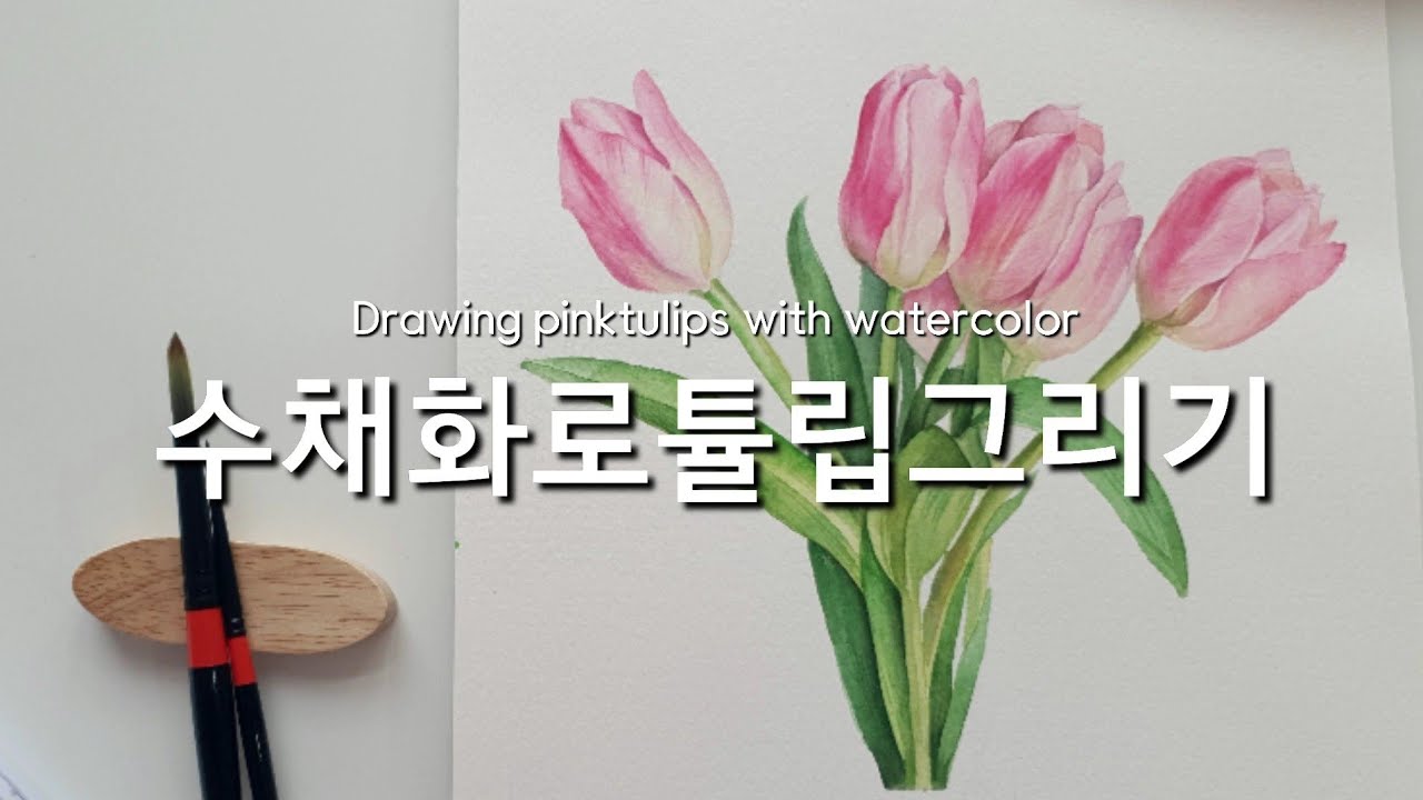 핑크튤립그리기/Drawing tulips with watercolor/watercolor painting process