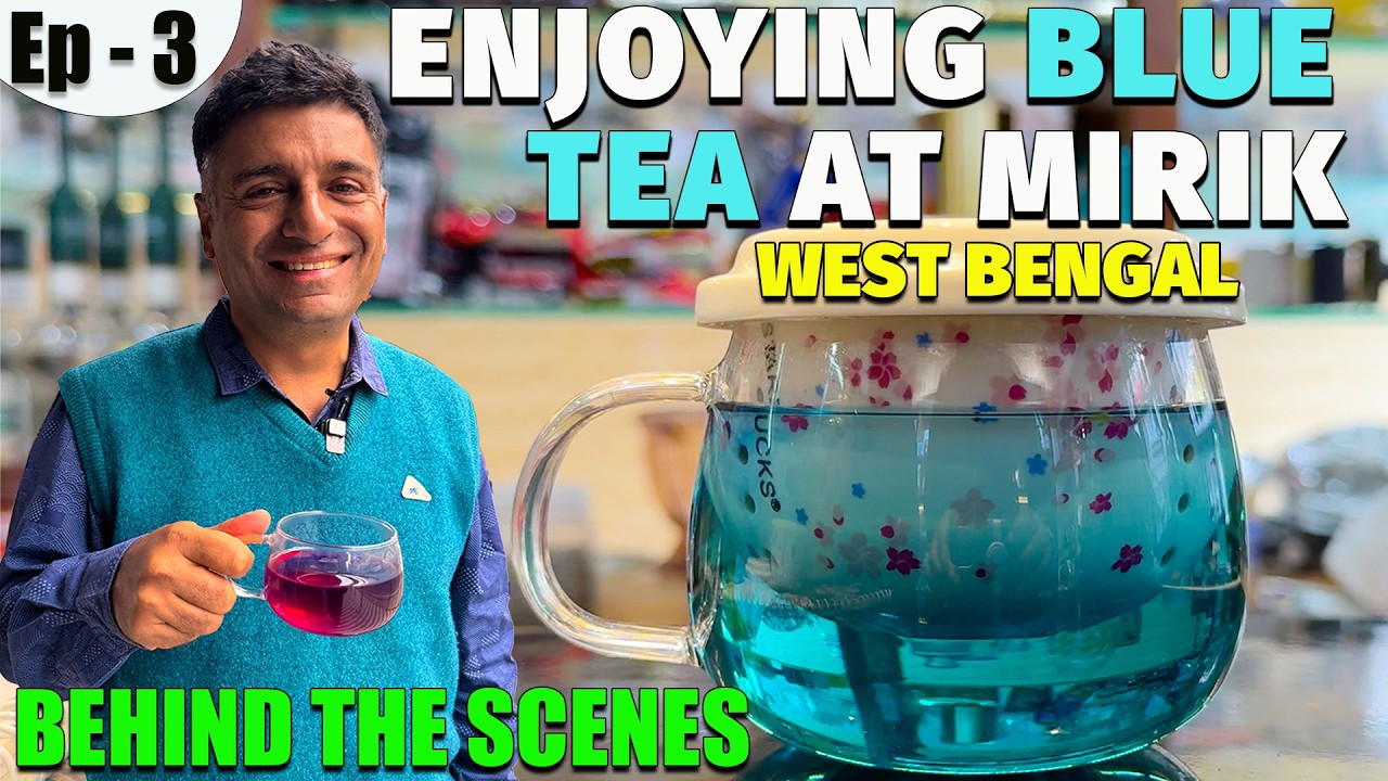 EP - 3 BTS Mirik to Darjeeling, West Bengal |  Blue Tea tasting, Nursery visit