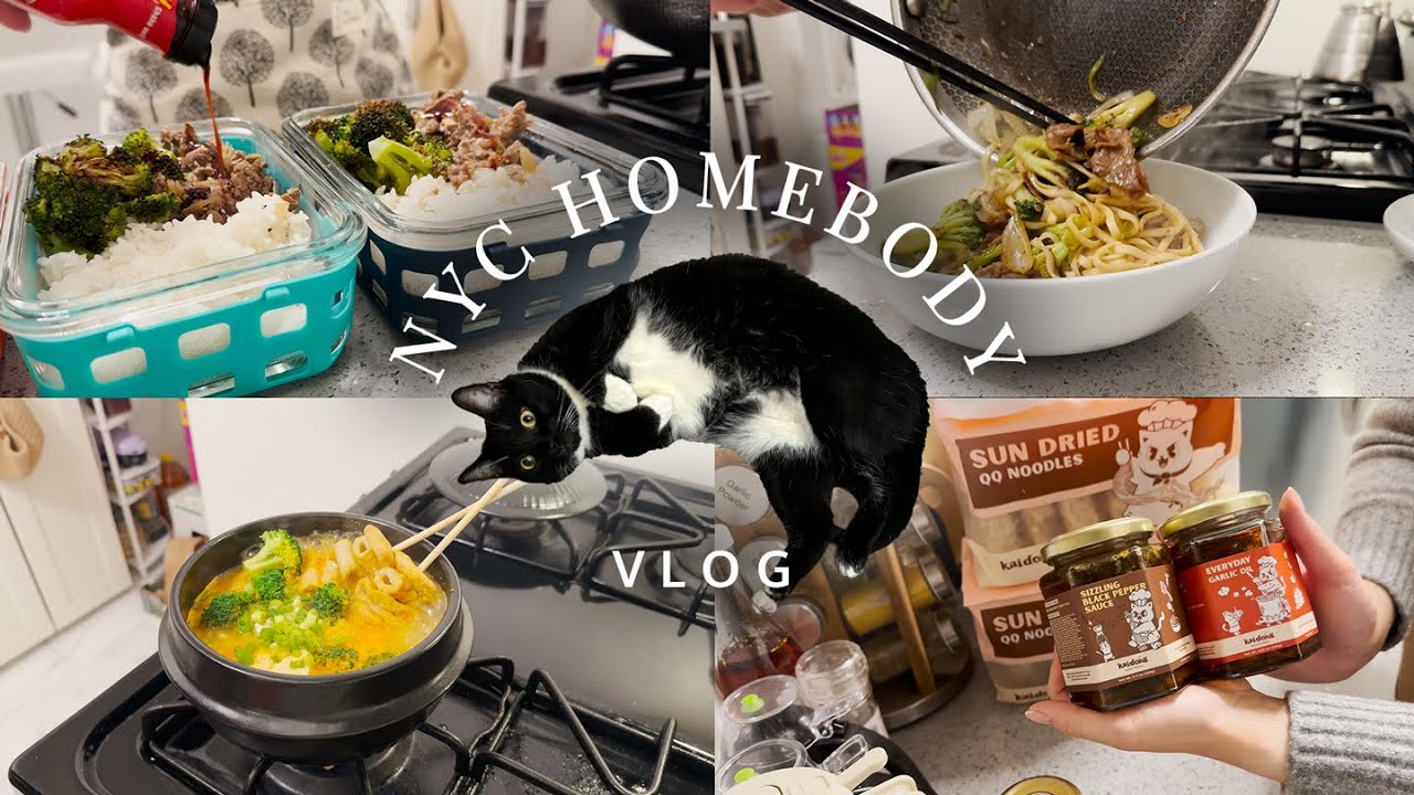 NYC Homebody Vlog | Gyudon meal prep, Kaidong unboxing, soondubu fishcake stew, black pepper noodles