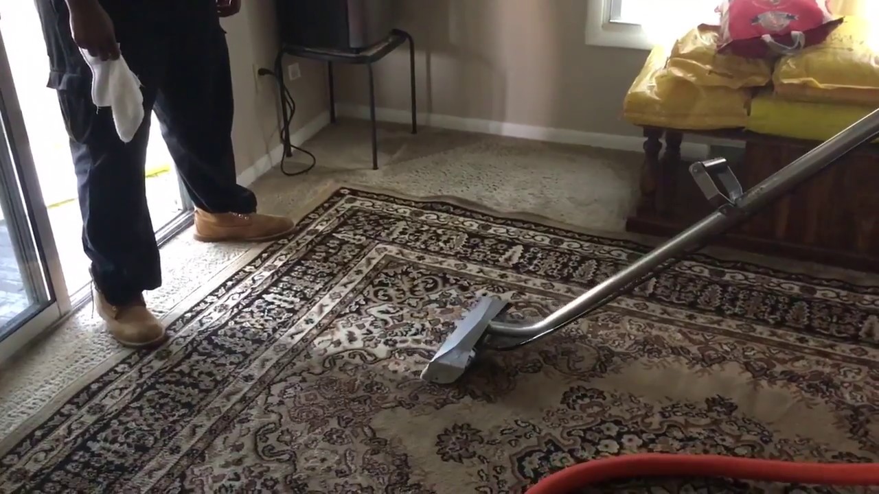Steam Cleaning Area Rugs