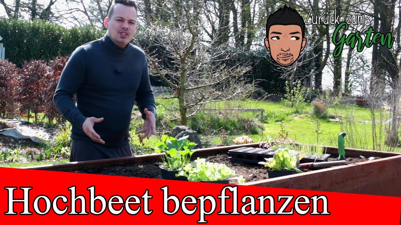 Hochbeet bepflanzen  -5 Tipps- Mischkultur, Pflanznachbarn, Pflanzfolge, Anbautipps, Standort