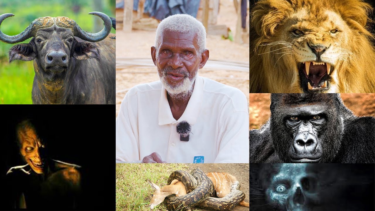 Eei😒Unbelievable, Meet the 91 years old powerful Hunter who can vanish in de forest with his powers.