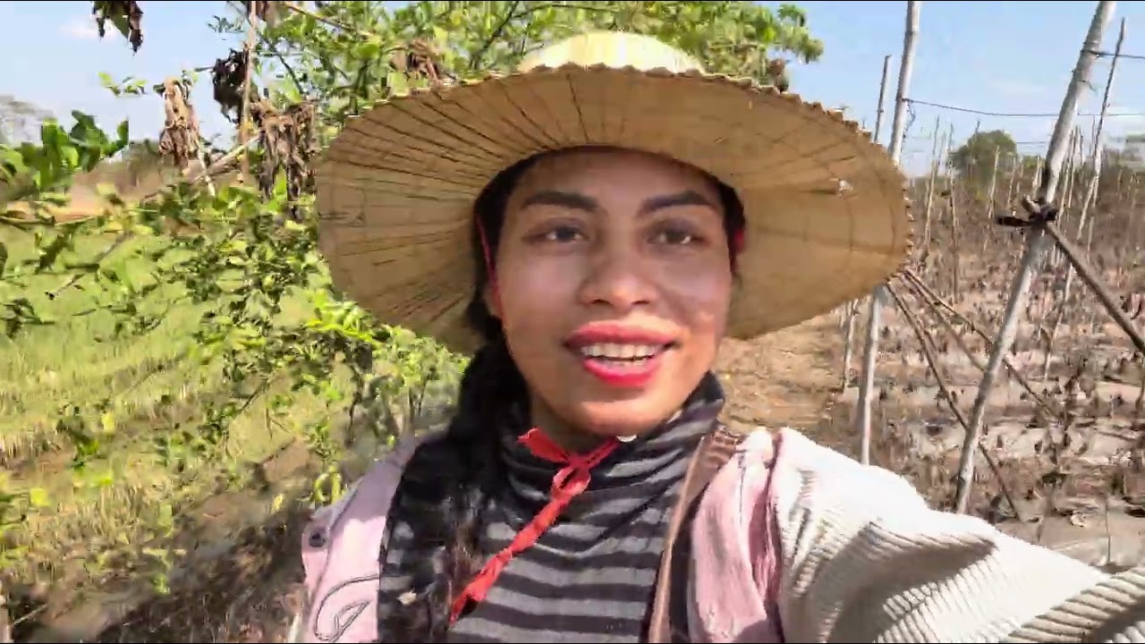 Today I went to grow cucumbers for my uncle at the west of the village.