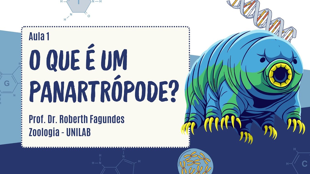Aula 1 - O que &eacute; um panartropode? (Superfilo Panarthropoda)