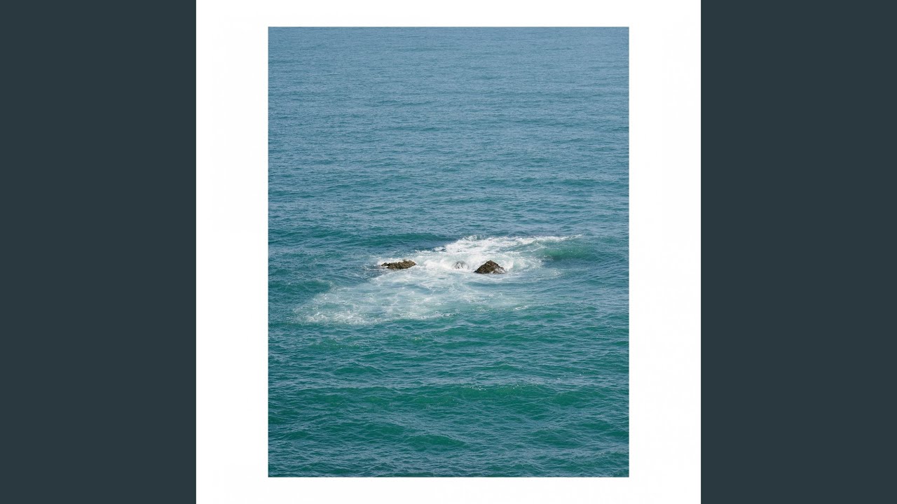 orca note