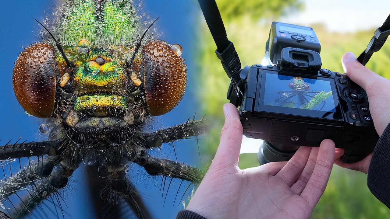 POV Macro Photography With The Olympus 60mm f/2.8