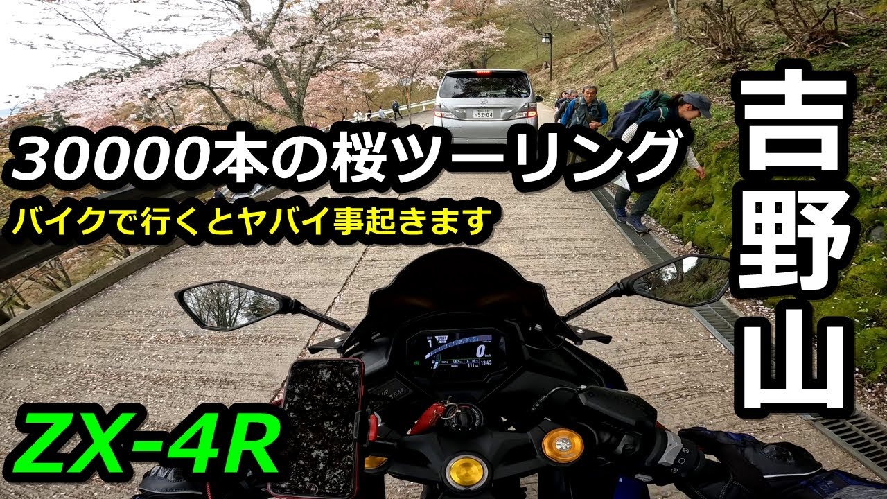 【ZX-4R】バイクで吉野山ツーリング行くとヤバイ…【千本桜ツーリング】