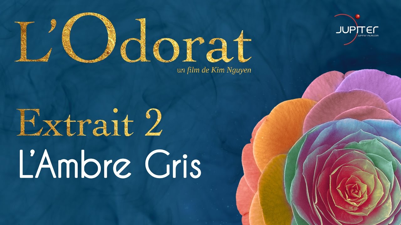 l'Odorat - Extrait N&deg; 2 - l'Ambre gris