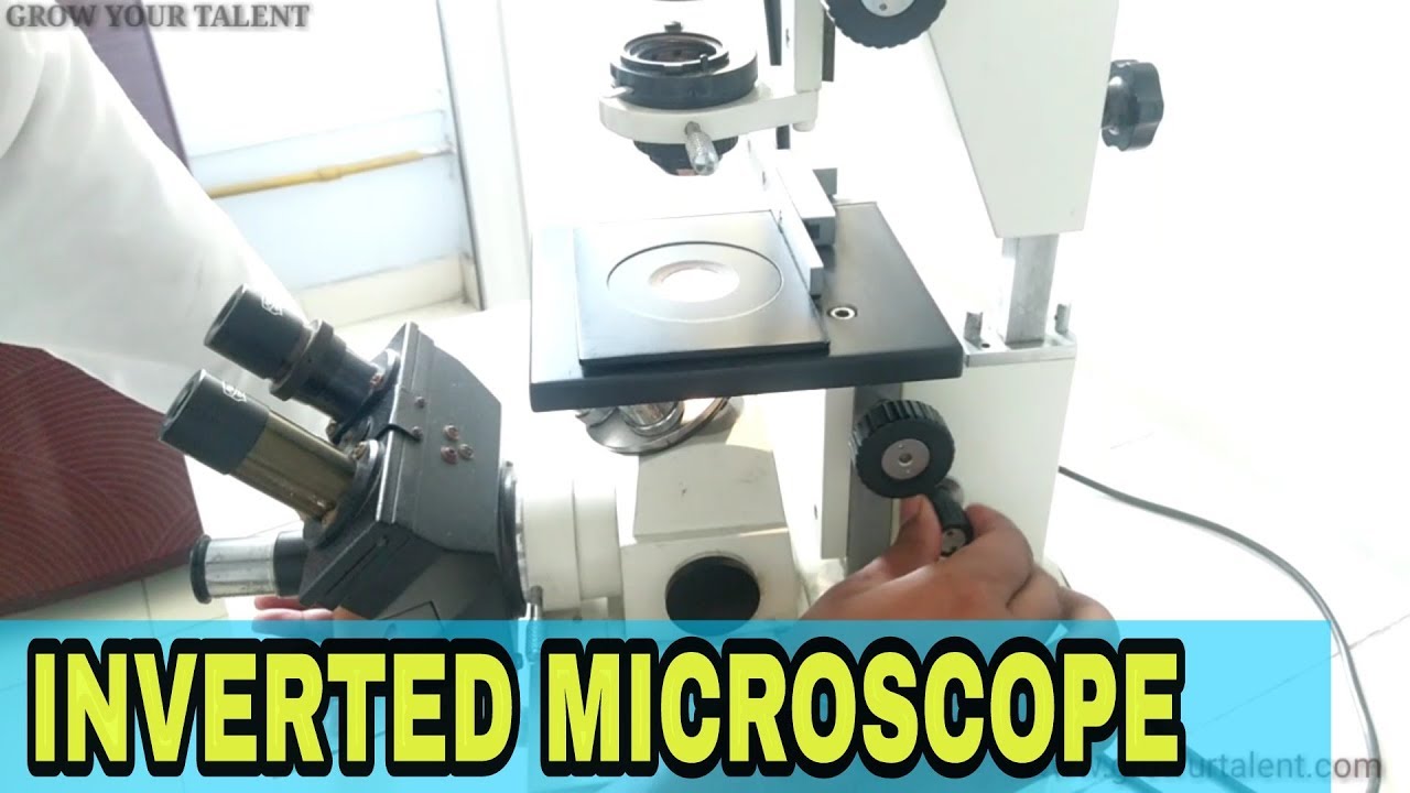 Inverted Microscope | inverted microscope principle | inverted microscope for cell culture | G Y T