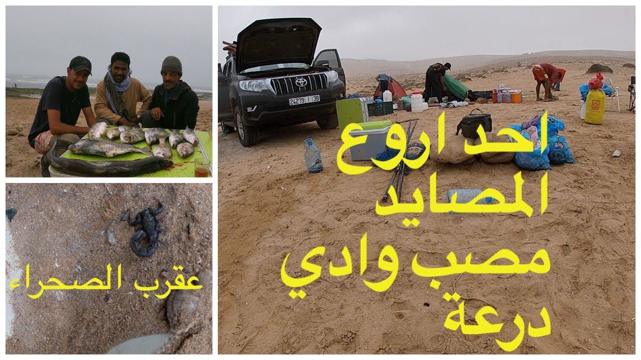 اكتشفوا معنا احد أروع المصايد بين أوريورة ومصب وادي درعة، مصيد الشرغو بامتياز - Peche &agrave; Oued Draa