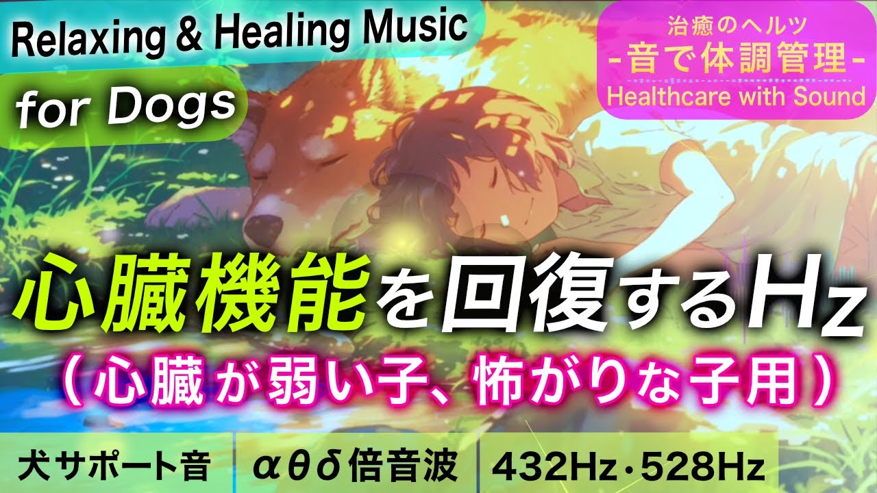 【犬が落ち着く音楽】心臓が弱い子/心臓病/臆病な子/雷などで震える子などの治癒音┃お留守番にも┃超回復のα波･θ波･デルタ波┃全ソルフェジオ周波数
