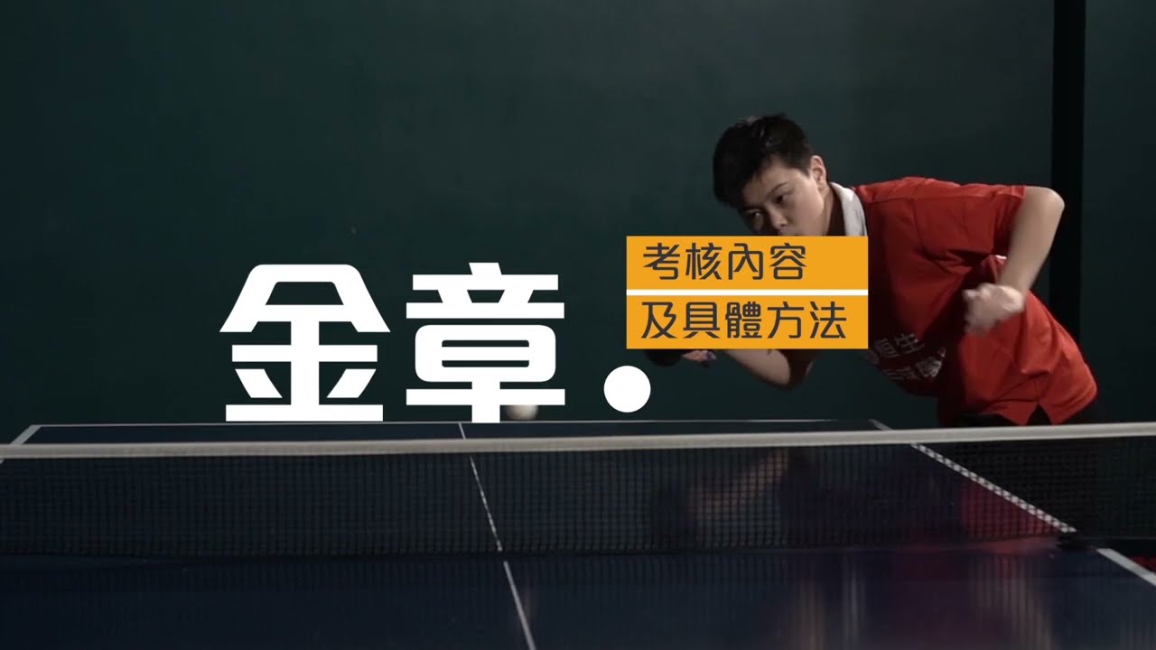 恒生乒乓學院章別獎勵計劃 - 金章考試技術測試內容(2023年更新版)