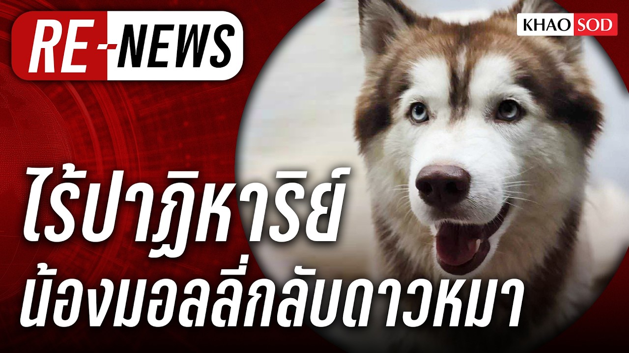 Re-News วันที่ 20 ก.พ.69 ไร้ปาฏิหาริย์ น้องมอลลี่กลับดาวหมา