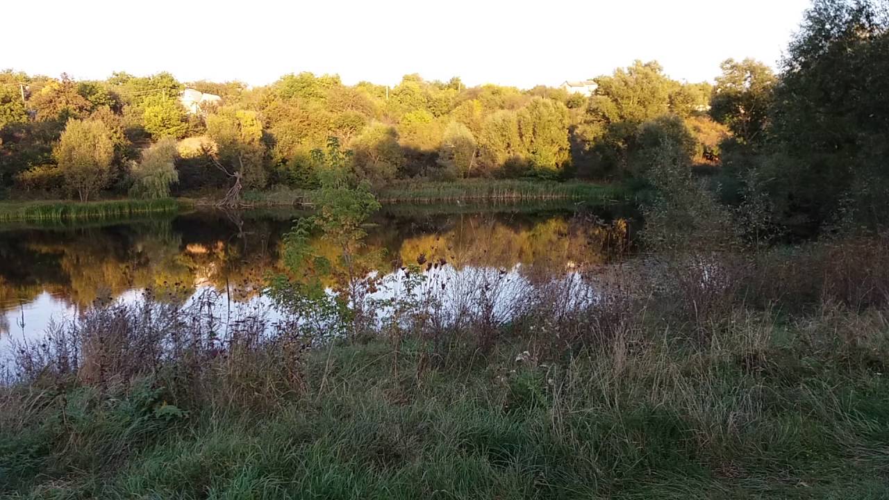 Два Юбра нас завезли